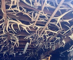 Elk Sheds For Sale/ please message first/price varies per horn