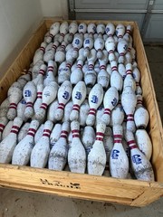 TEN BOWLING PINS Brunswick Bowling Pin Shoot Target Practice