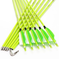 annastar 30″ Carbon Feather Arrows Practice Hunting Arrows Spine 300 340 400 …