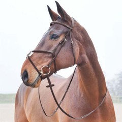 New! Horze brand Brown PRESCOTT CROSS NOSEBAND BRIDLE w/ Web reins 4 SIZES!