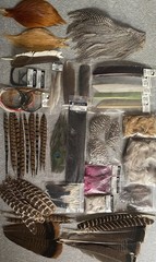 Fly Tying Feather Assortment