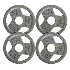 4x5LB Cast Iron Weight Plates, Fits 2″ Barbell