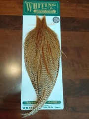 Whiting CREE Cape Bronze Grade Hackle Feathers NEW Hebert Miner