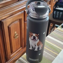 Serengeti Bulldog 32 fl oz Black Water Bottle Flip Straw Lid Carry Handle