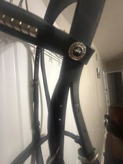 HDR Black English Bridle Bling Cob Sized Leather Horse Tack
