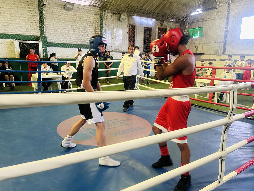 Boxeo